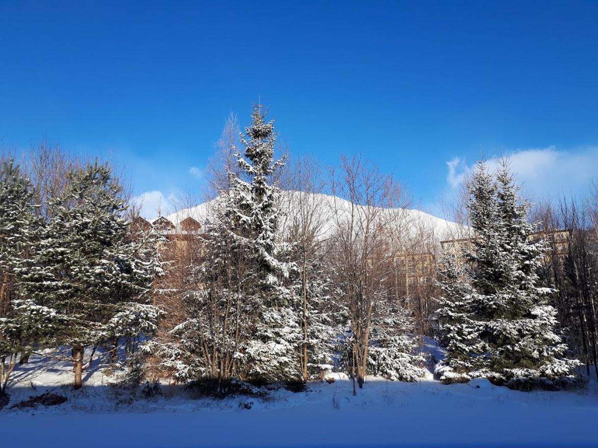 Apartman Mariana Vysoké Tatry Exterior photo