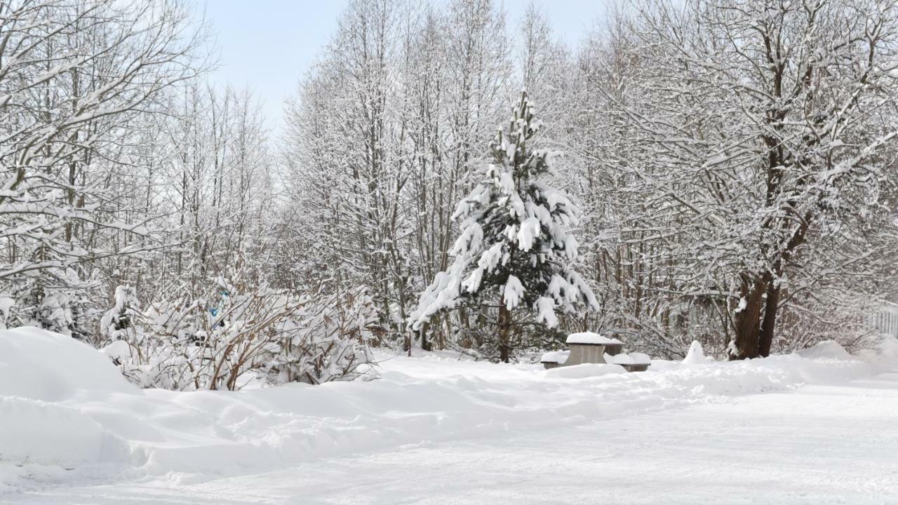 Apartman Mariana Vysoké Tatry Exterior photo